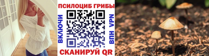 Купить  Ладушкин  Псилоцибиновые грибы ЛСД 