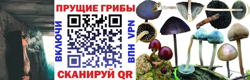 Галлюциногенные грибы мицелий Ладушкин